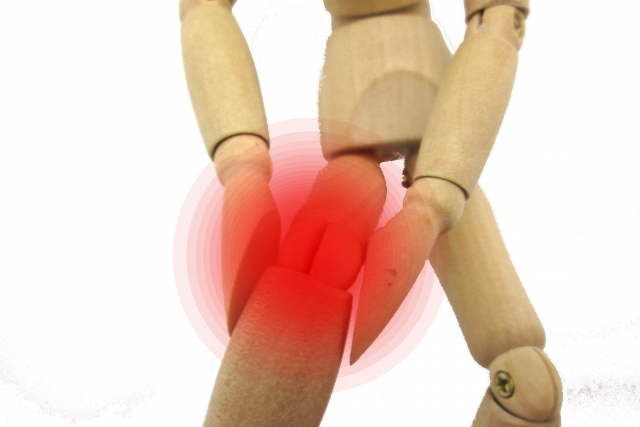 膝と軟骨